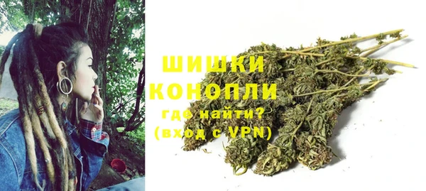 бошки Алексин