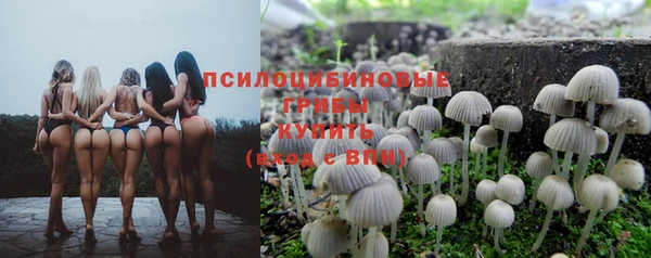 герыч Алзамай