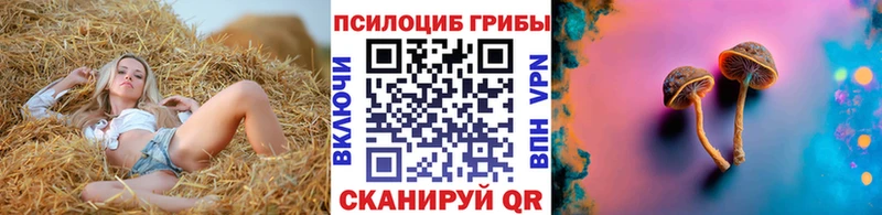 Псилоцибиновые грибы Psilocybine cubensis  Купить где  Сосновый Бор 